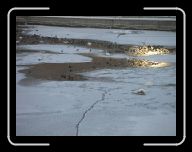 0212_0301 Sverige 227 * 800 x 600 * (55KB)